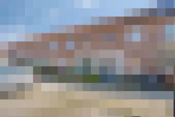 Pronkmos 79 Houten thumbnail 28