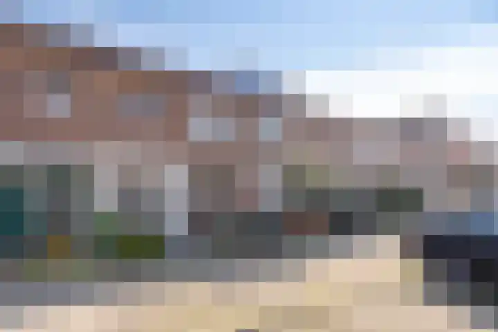 Pronkmos 79 Houten thumbnail 29