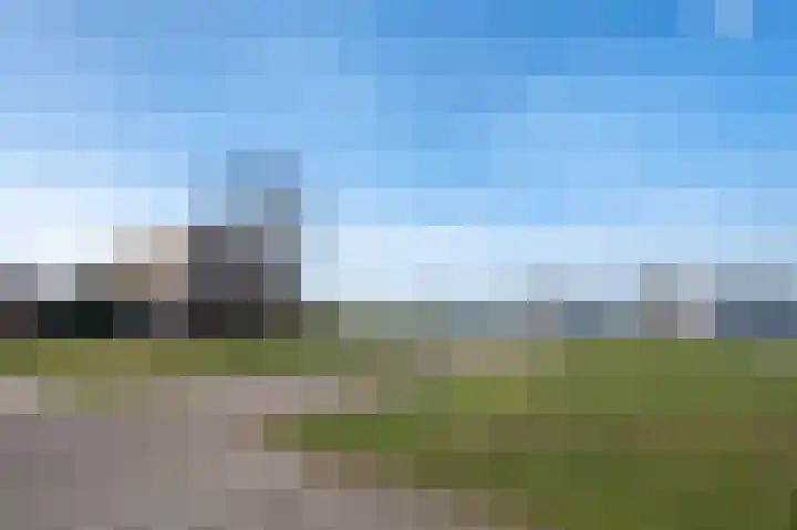 Pronkmos 79 Houten thumbnail 31
