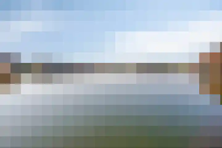 Pronkmos 79 Houten thumbnail 32