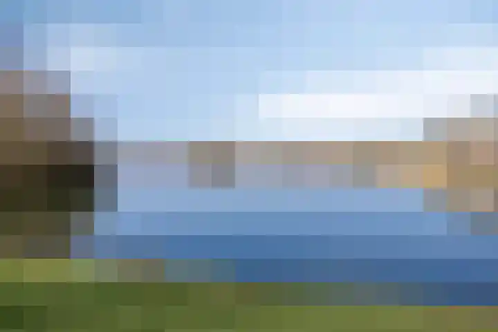 Pronkmos 79 Houten thumbnail 33