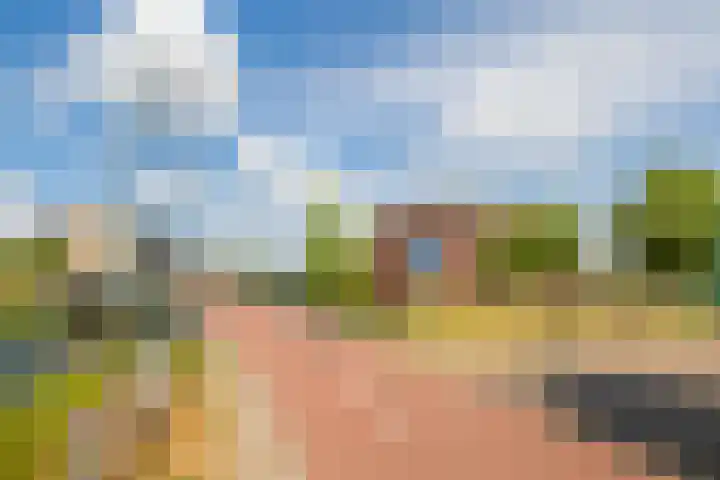 Pronkmos 79 Houten thumbnail 36