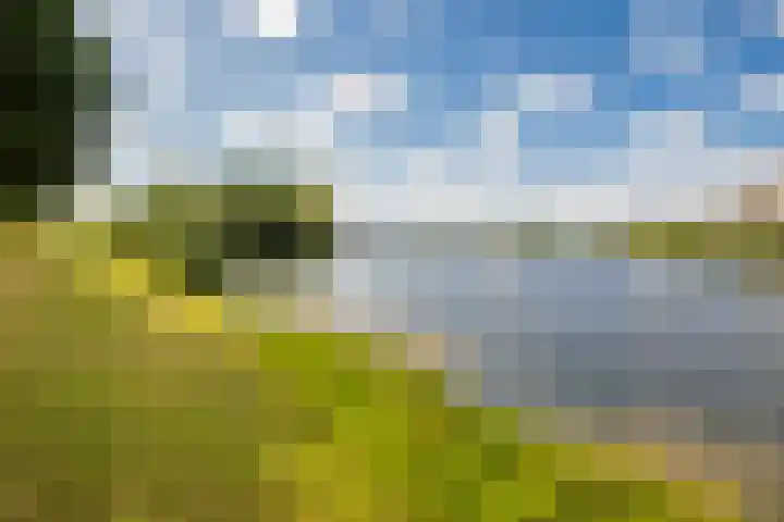 Pronkmos 79 Houten thumbnail 37