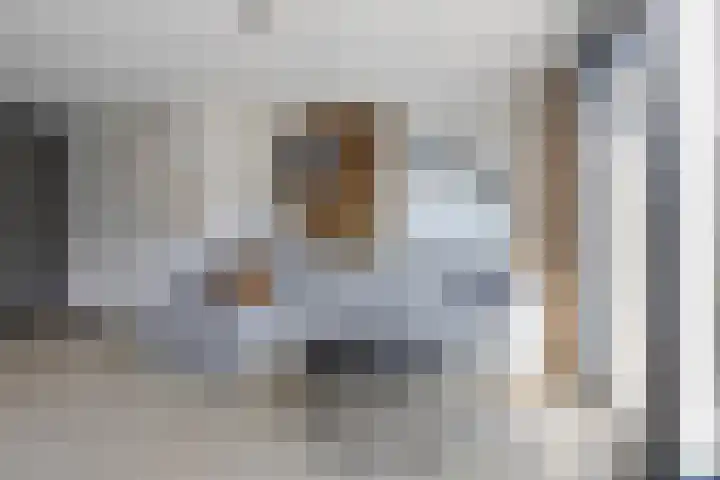 Pronkmos 79 Houten thumbnail 5