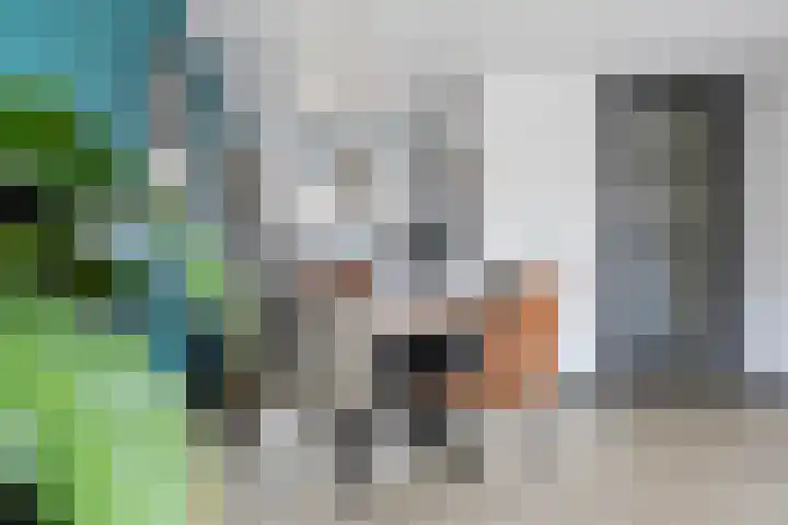 Pronkmos 79 Houten thumbnail 8