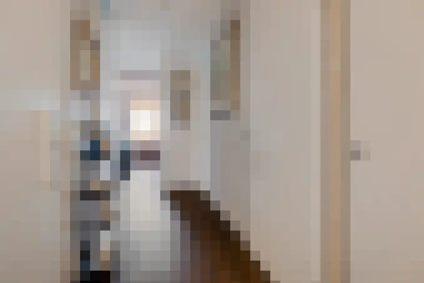 Pronkridder 1 X Assen thumbnail 13