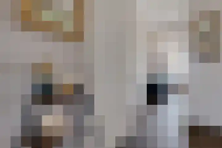 Pronkridder 1 X Assen thumbnail 16