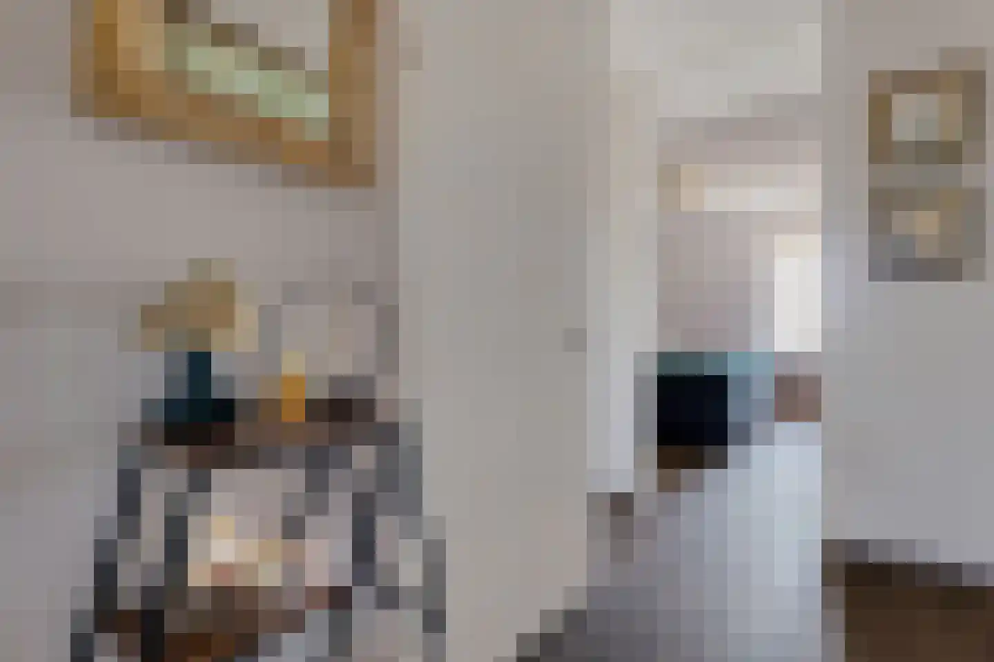 Pronkridder 1 X Assen thumbnail 16