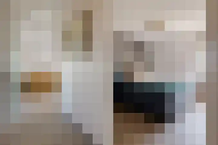 Pronkridder 1 X Assen thumbnail 17