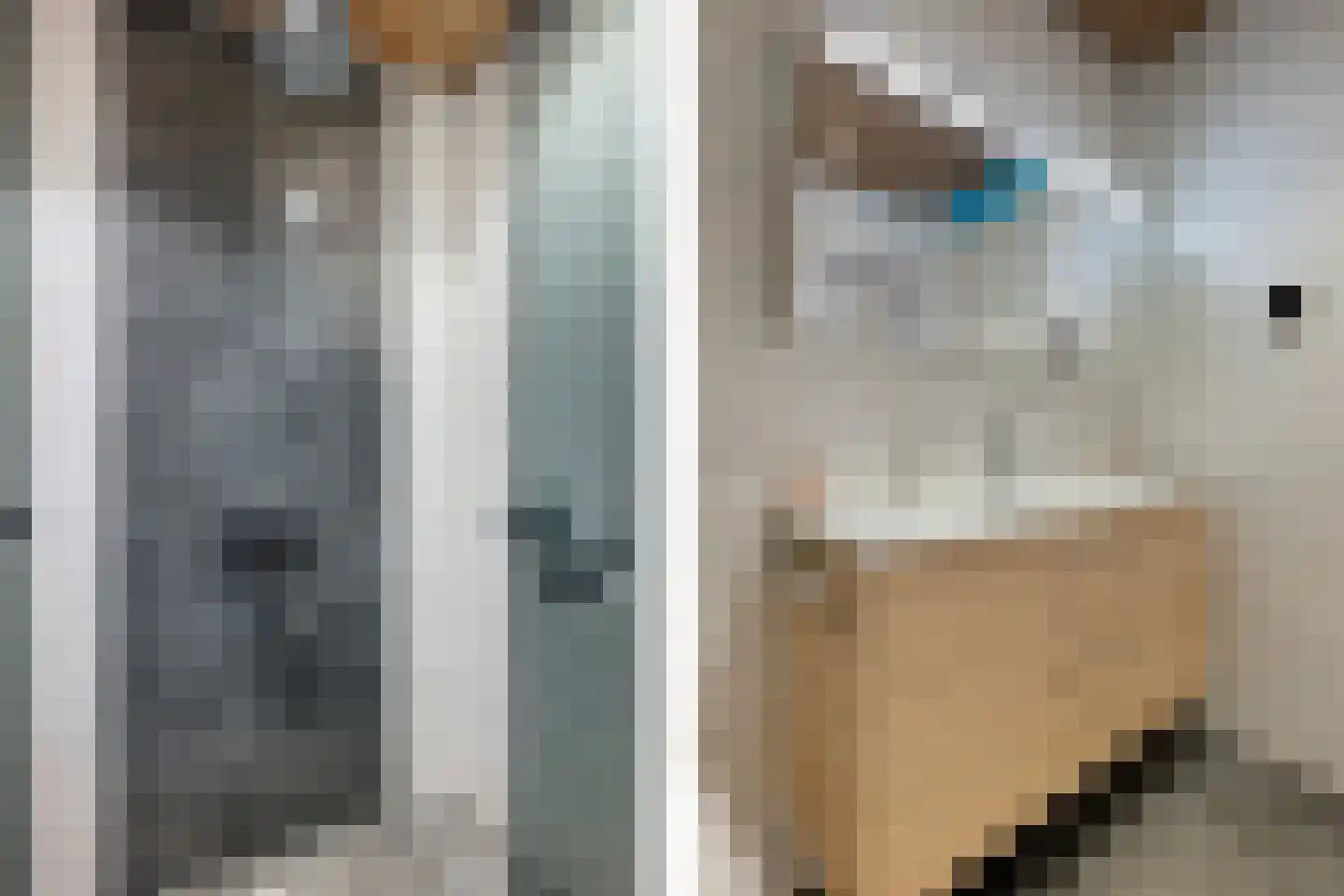 Pronkridder 1 X Assen thumbnail 22