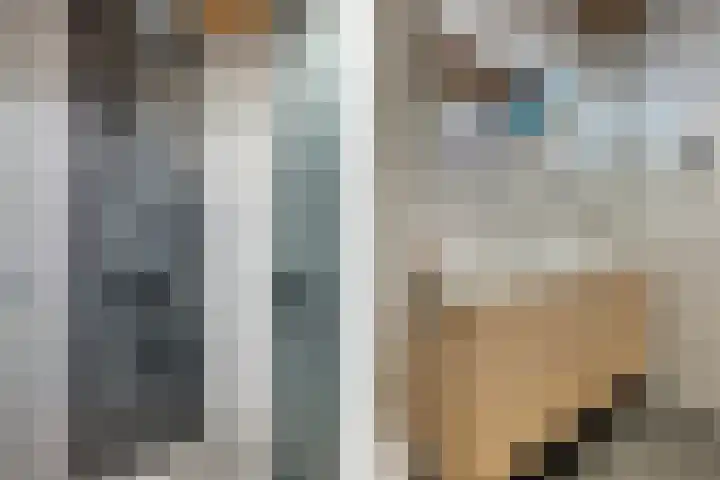 Pronkridder 1 X Assen thumbnail 22