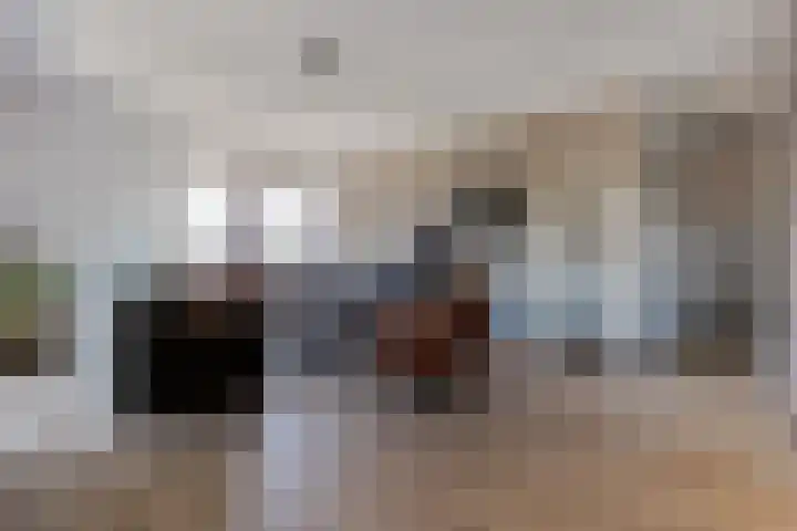 Pronkridder 1 X Assen thumbnail 24