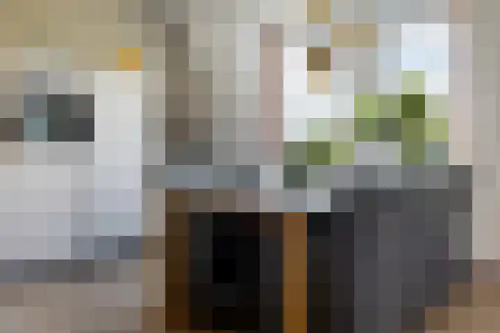 Pronkridder 1 X Assen thumbnail 28