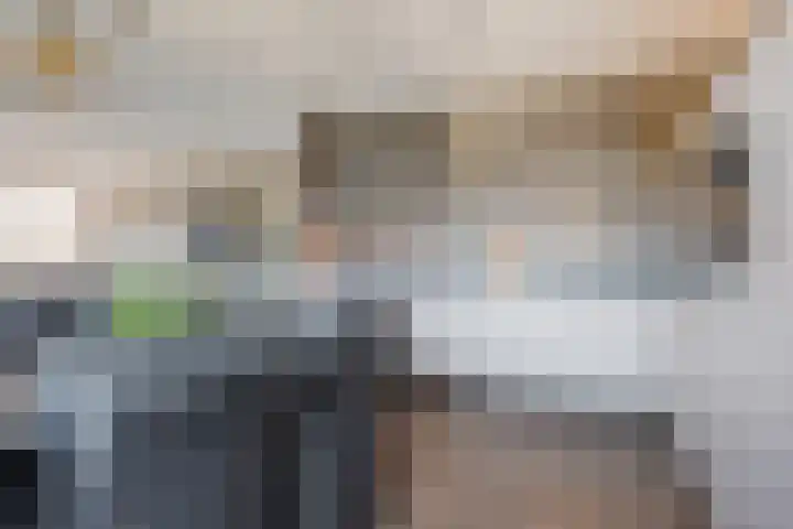 Pronkridder 1 X Assen thumbnail 29