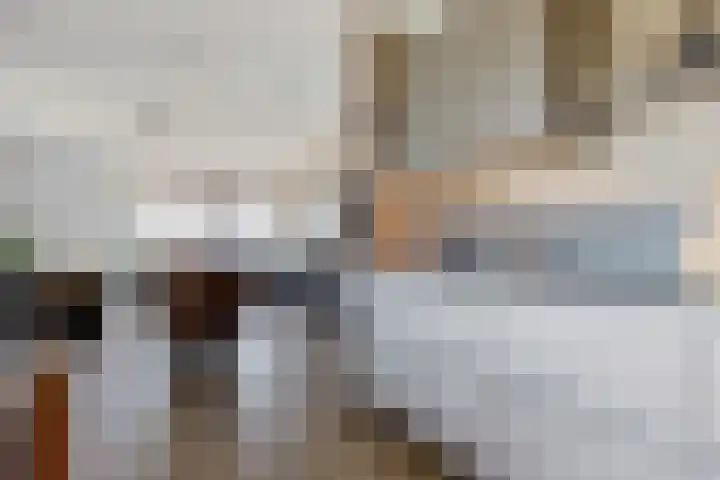 Pronkridder 1 X Assen thumbnail 30