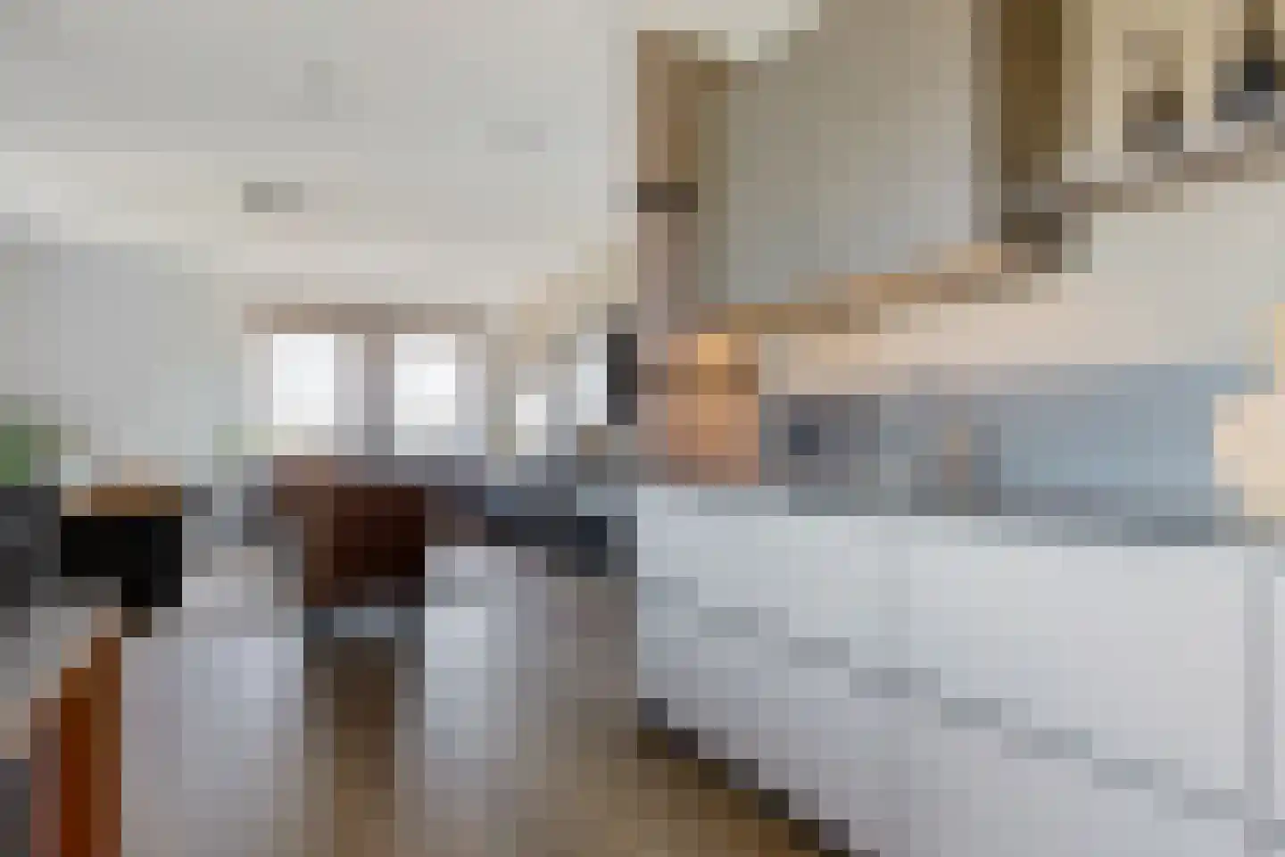 Pronkridder 1 X Assen thumbnail 30