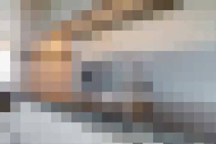 Pronkridder 1 X Assen thumbnail 31