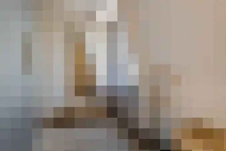 Pronkridder 1 X Assen thumbnail 38