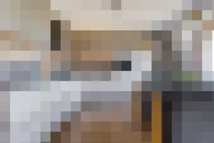Pronkridder 1 X Assen thumbnail 4