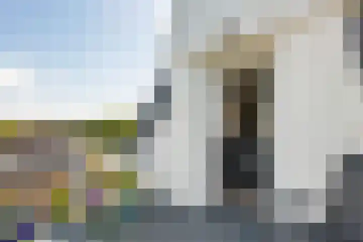 Pronkridder 1 X Assen thumbnail 40