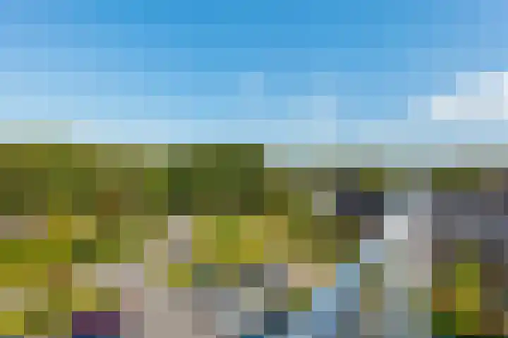 Pronkridder 1 X Assen thumbnail 42