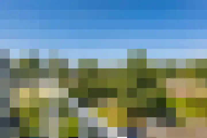 Pronkridder 1 X Assen thumbnail 43