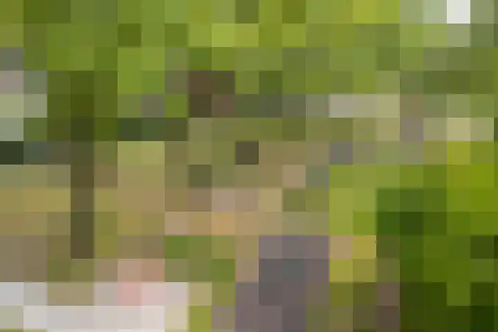Pronkridder 1 X Assen thumbnail 44