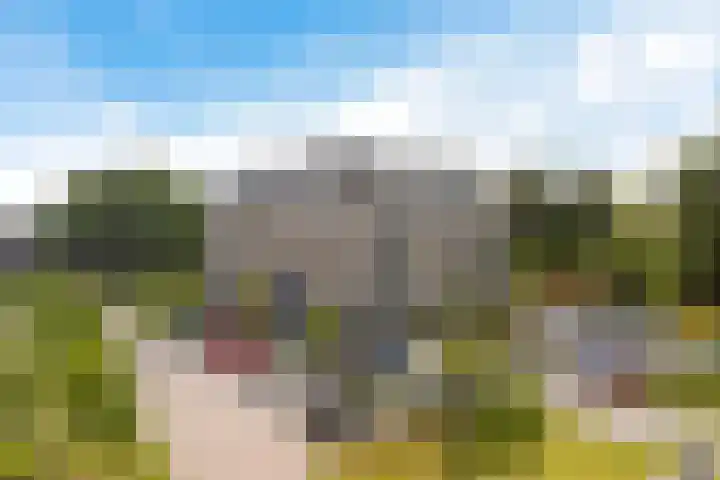Pronkridder 1 X Assen thumbnail 46
