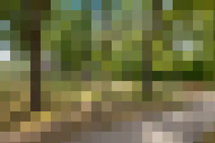 Pronkridder 1 X Assen thumbnail 51