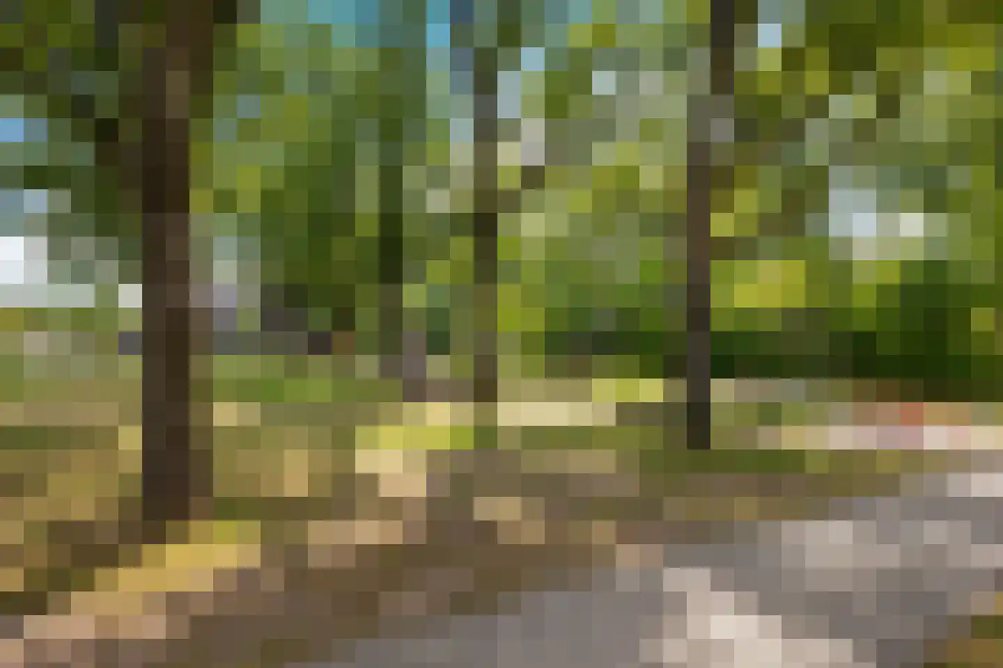 Pronkridder 1 X Assen thumbnail 51
