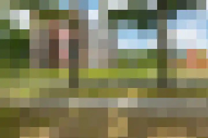 Pronkridder 1 X Assen thumbnail 52