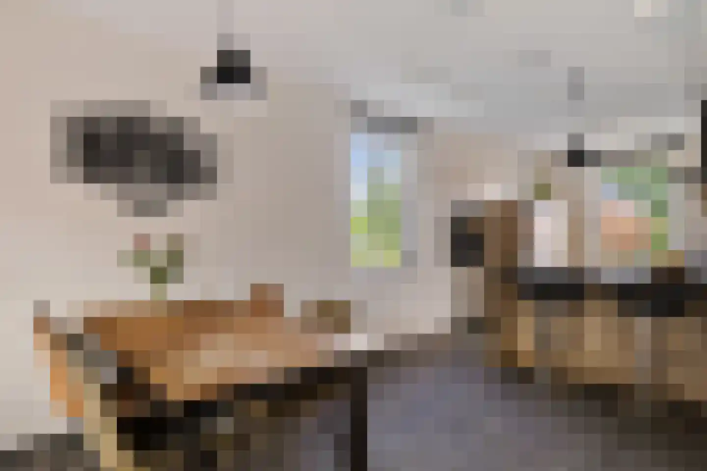 Pronkridder 10 Assen thumbnail 15