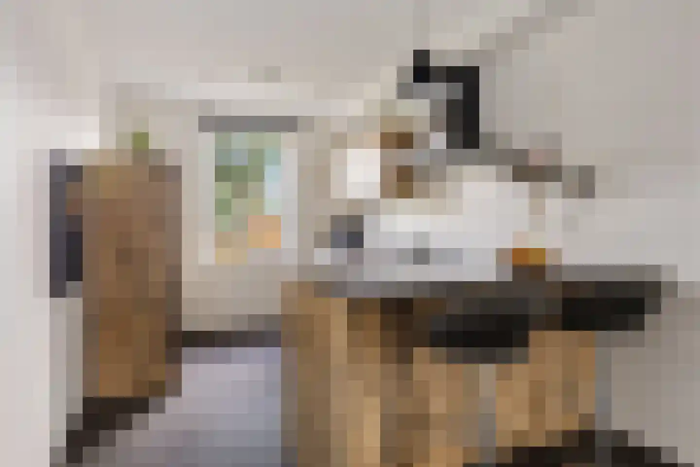 Pronkridder 10 Assen thumbnail 16