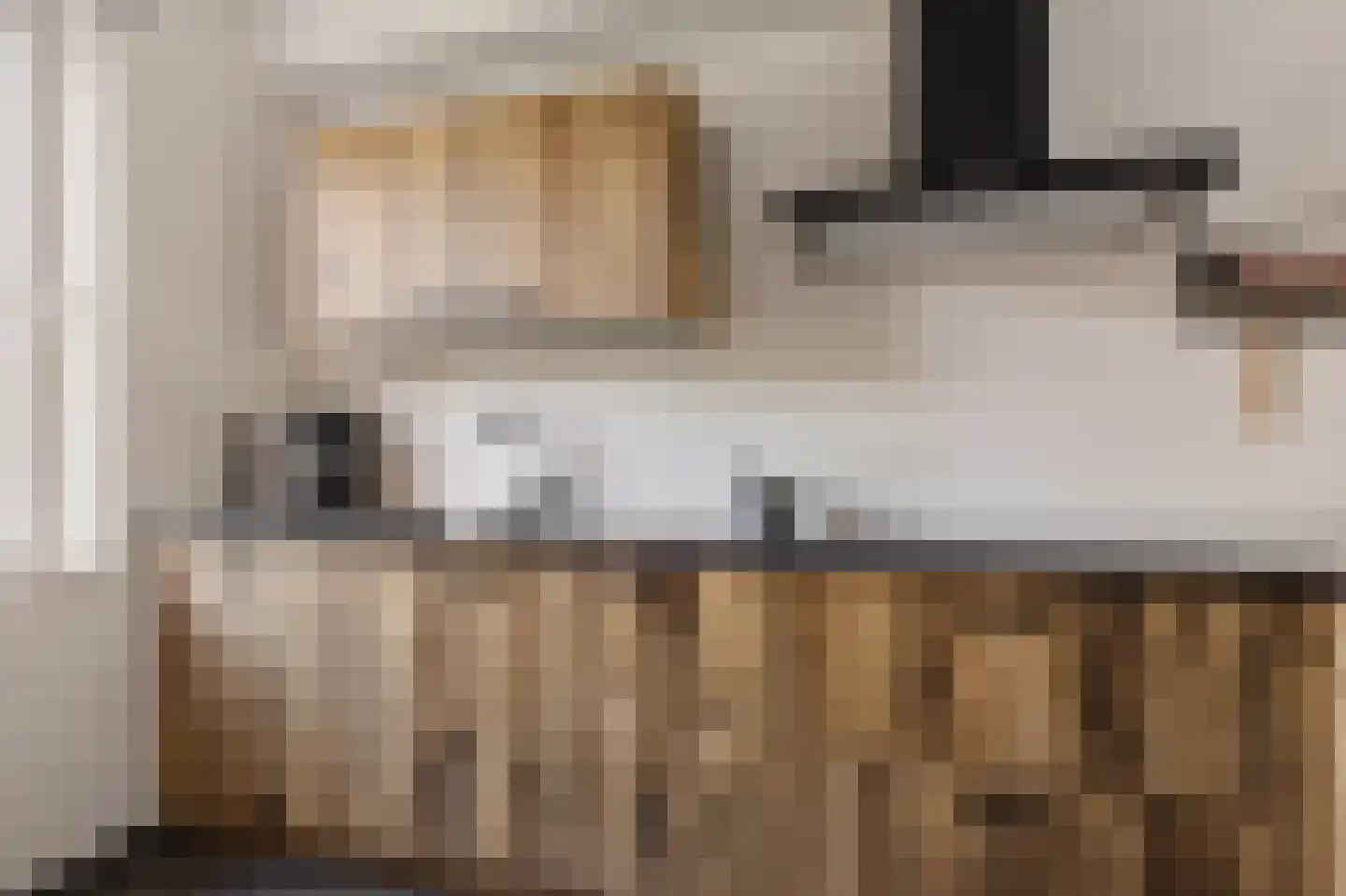 Pronkridder 10 Assen thumbnail 19