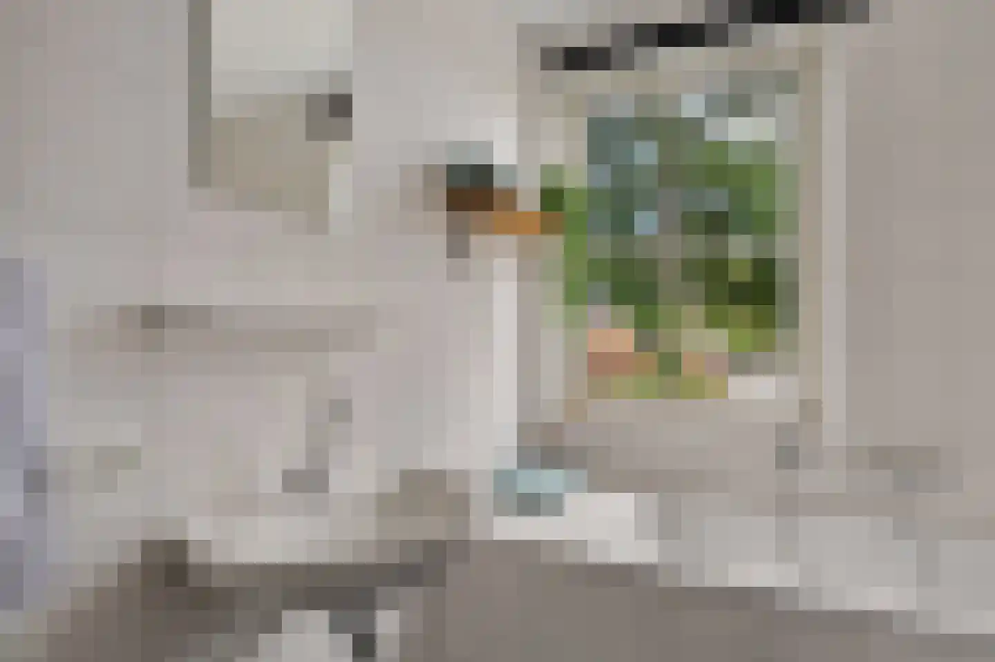 Pronkridder 10 Assen thumbnail 30