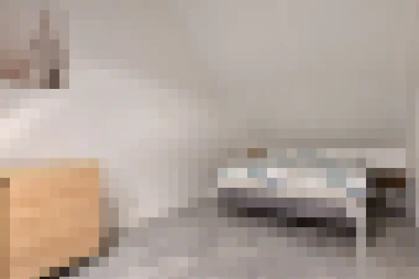 Pronkridder 10 Assen thumbnail 36