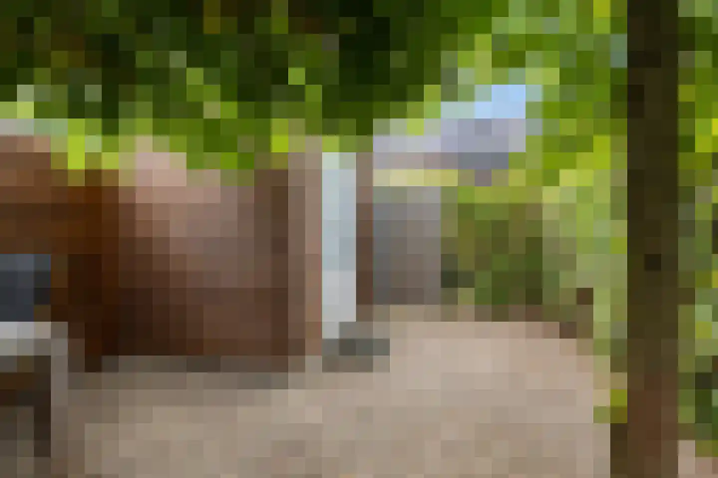 Pronkridder 10 Assen thumbnail 42