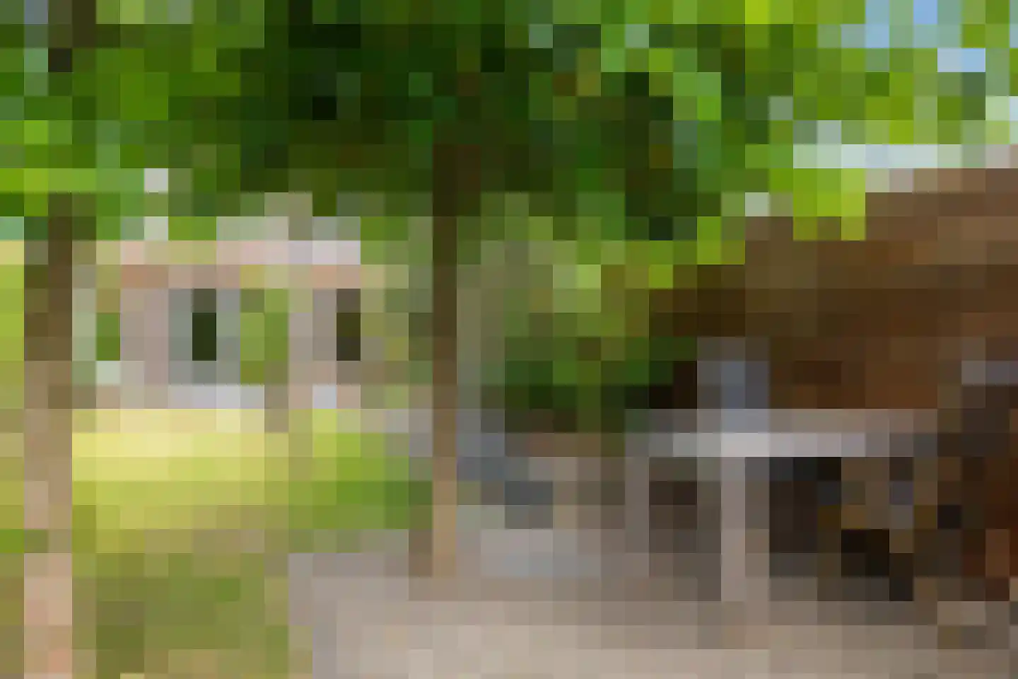 Pronkridder 10 Assen thumbnail 43