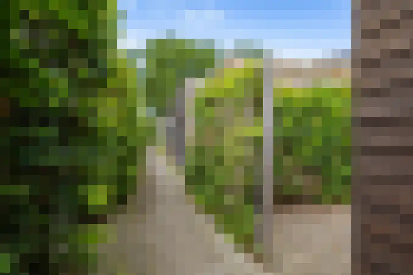 Pronkridder 10 Assen thumbnail 44
