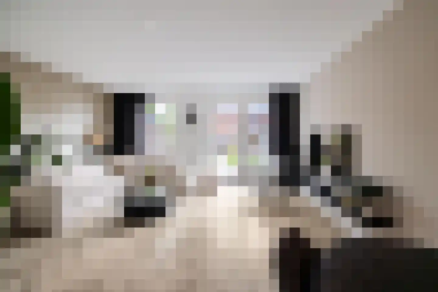 Pronkridder 11 Assen thumbnail 12