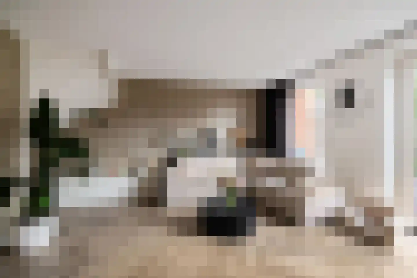 Pronkridder 11 Assen thumbnail 13