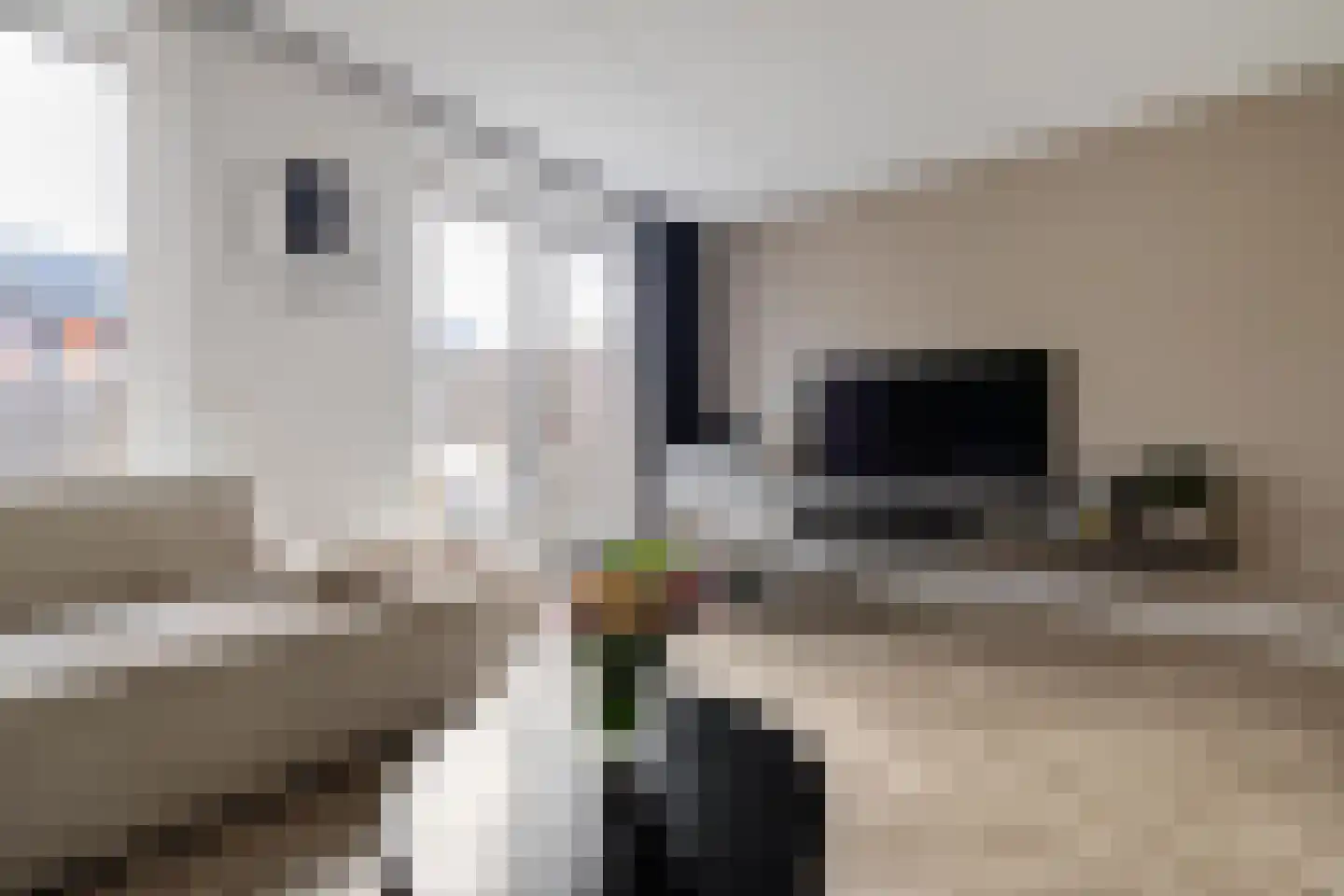 Pronkridder 11 Assen thumbnail 14