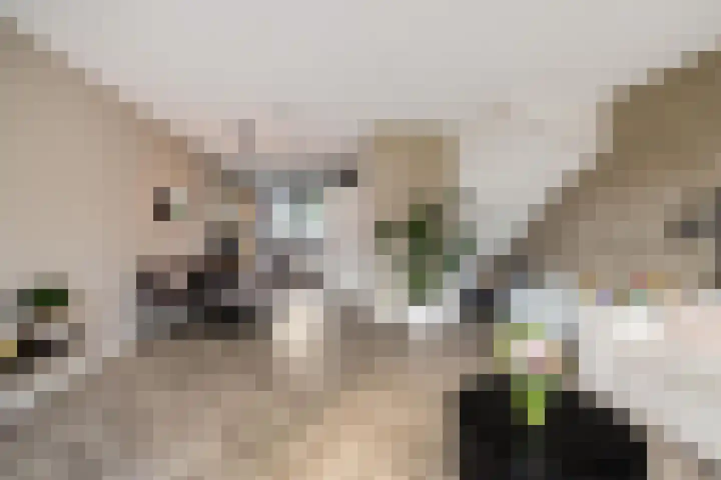 Pronkridder 11 Assen thumbnail 15