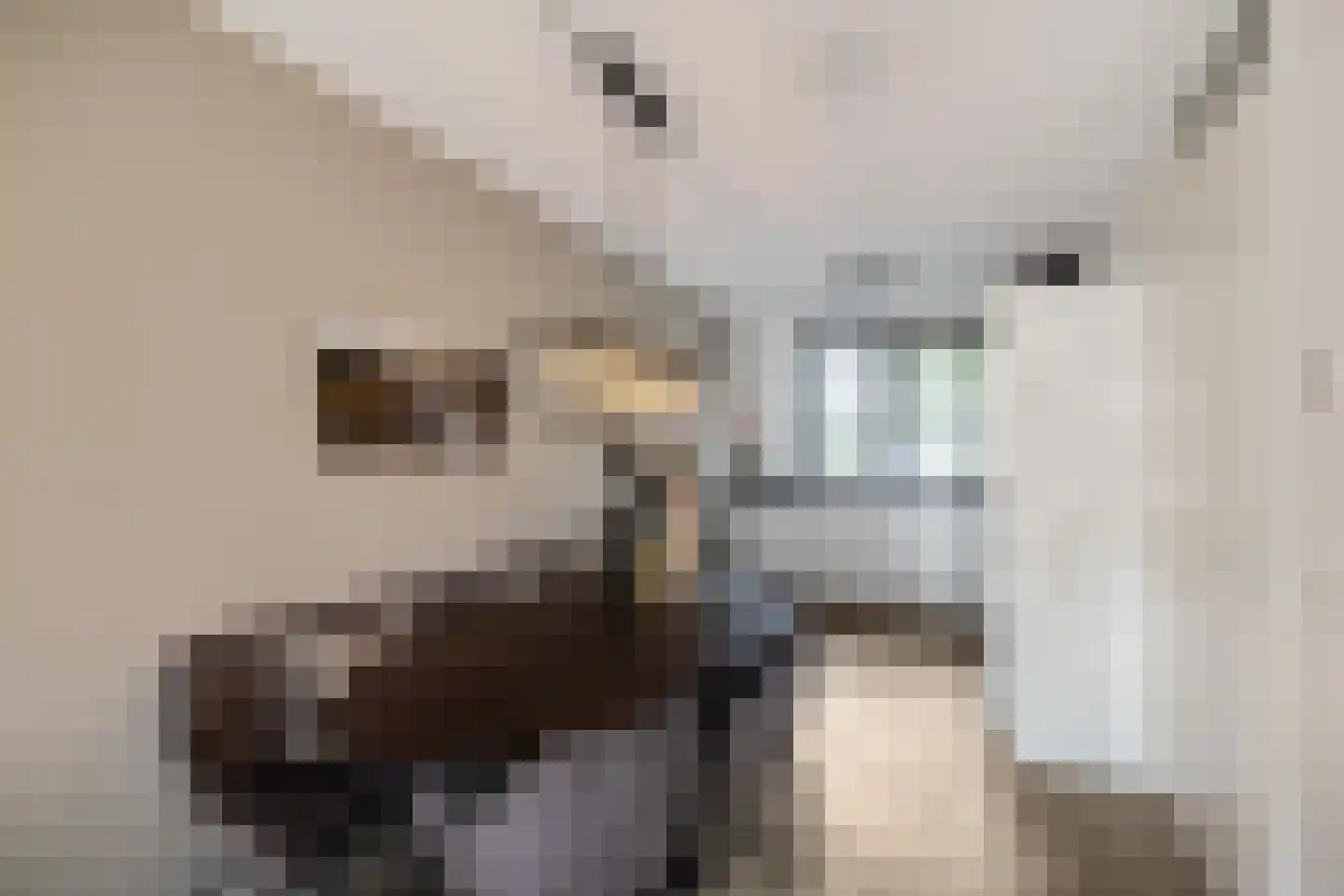 Pronkridder 11 Assen thumbnail 16