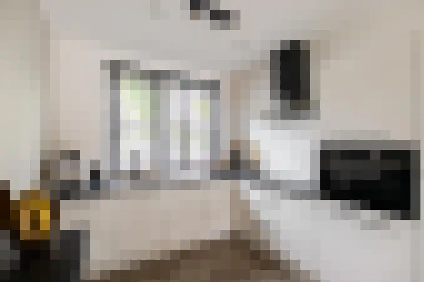 Pronkridder 11 Assen thumbnail 17