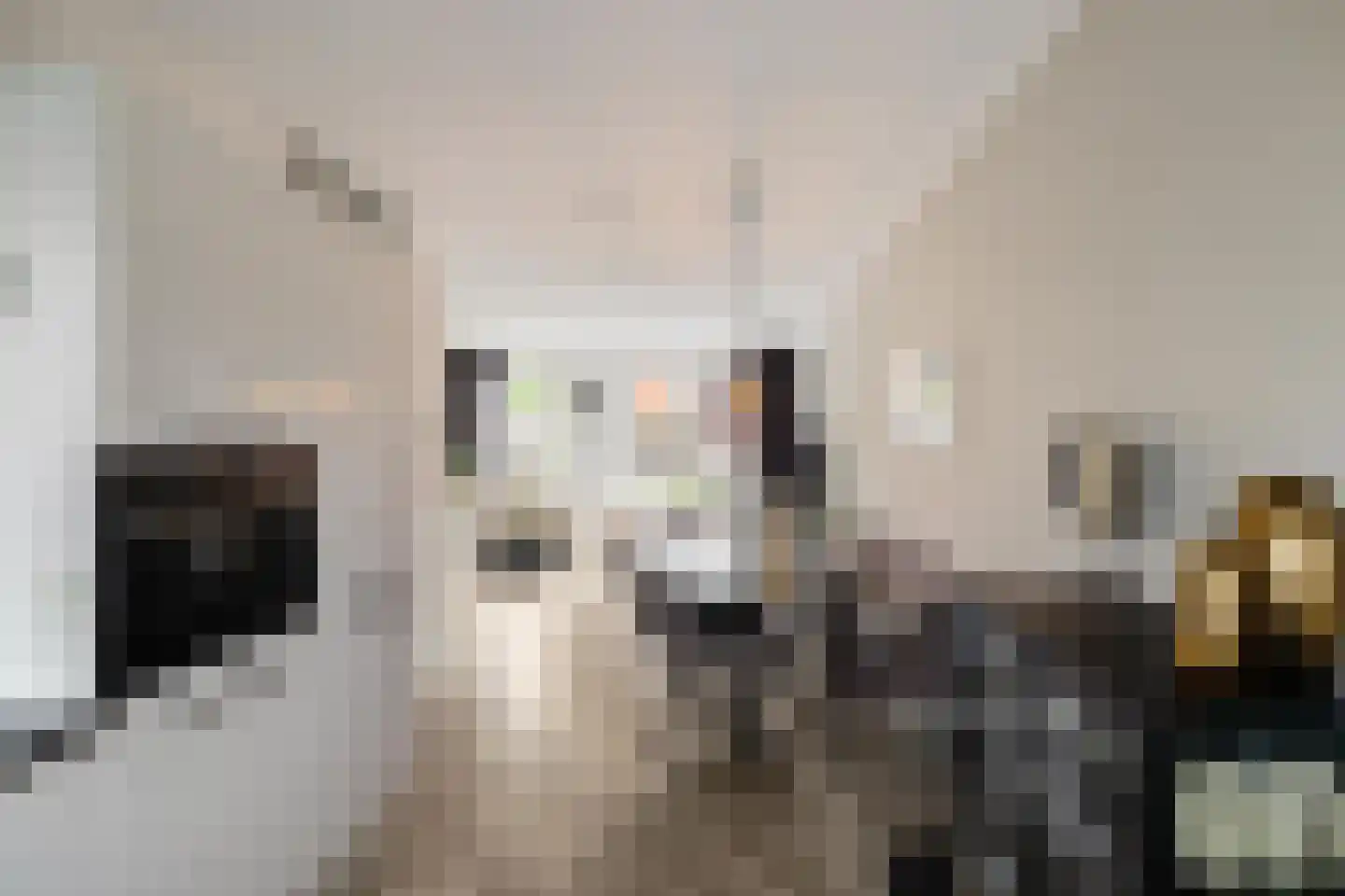 Pronkridder 11 Assen thumbnail 19