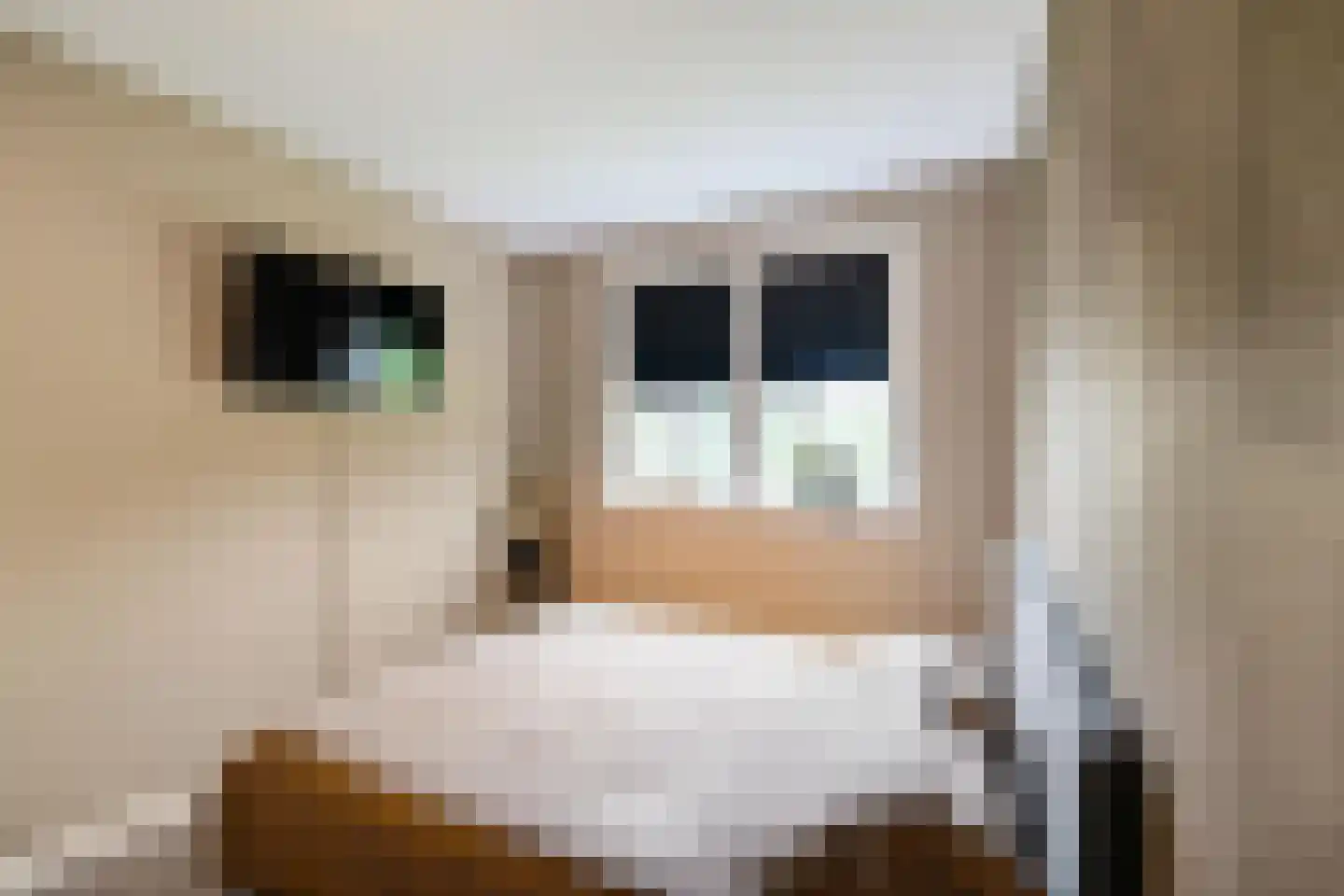 Pronkridder 11 Assen thumbnail 20