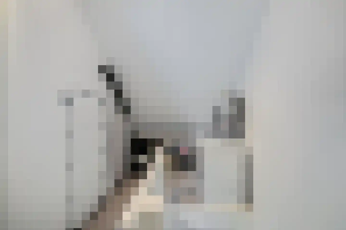 Pronkridder 11 Assen thumbnail 30