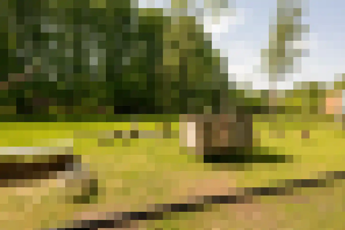 Pronkridder 19 Assen thumbnail 32
