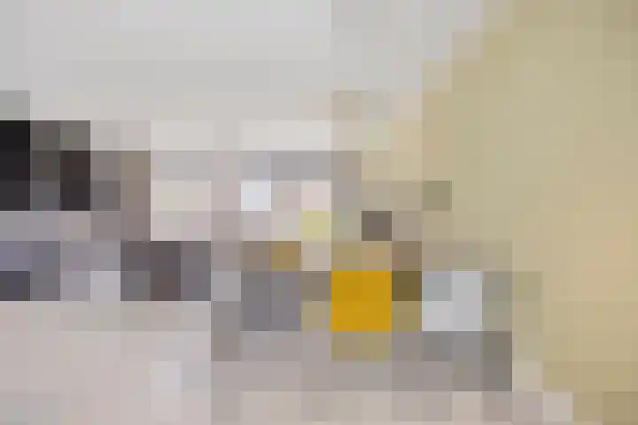 Pronkridder 28 Assen thumbnail 15